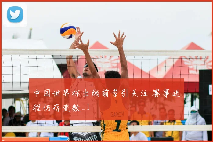 中国世界杯出线前景引关注 赛事进程仍存变数_1