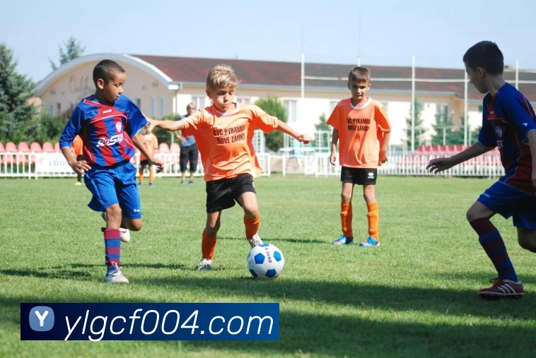 多媒体互动体验